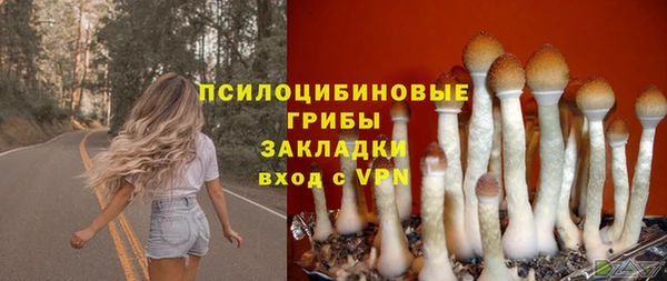 прущая мука Бородино