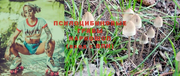 прущая мука Бородино