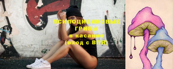 прущая мука Бородино