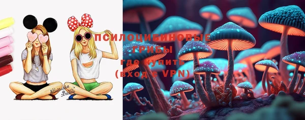 прущая мука Бородино
